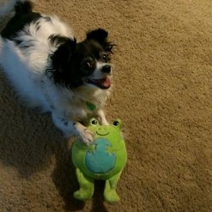 Meet your Posher, Tammyjo